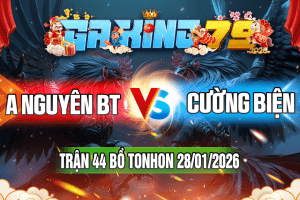 Trận 44 Tonhon 28/01/2026 – A Nguyên BT vs Cường Biện