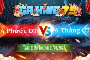 Tran 21 Tonhon 21012026