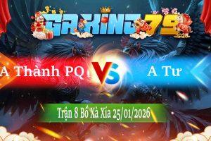 Tran 8 Xa Xia 25012026