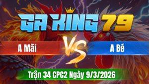 Trận 34 CPC2 Ngày 9/3/2026 - Bướm canh chặn có mấy chân que mấy cái dò