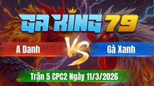 Trận 5 CPC2 Ngày 11/3/2026 -Xám cú đá như súng bắn xanh vô chịu hông nổi