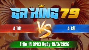 Trận 14 CPC3 Ngày 19/3/2026 - Xám có chân Xl đưa biện xa bờ