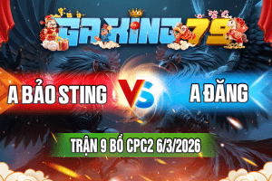 Trận 2 CPC2 Ngày 6/3/2026 – A BẢO STING VS A ĐĂNG