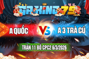 Trận 11 CPC2 Ngày 6/3/2026 – A QUỐC VS A BA TRÀ CÚ